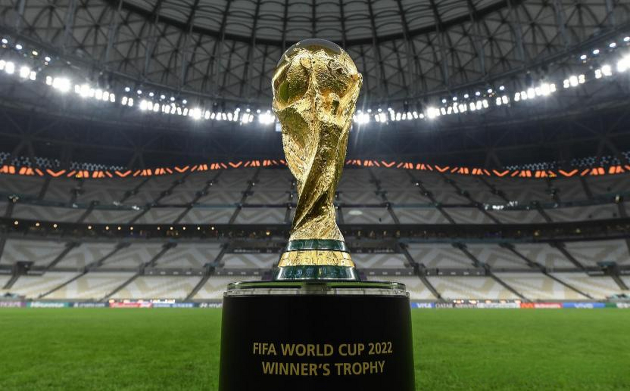 试图反扑的 试图反扑的